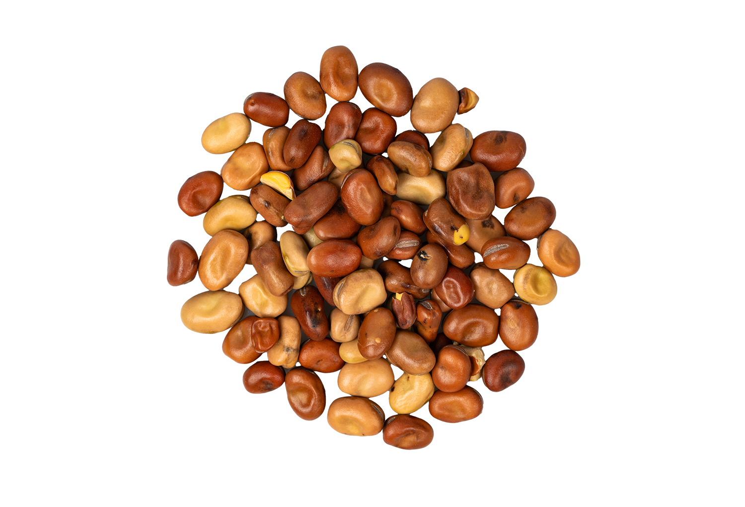 Faba beans