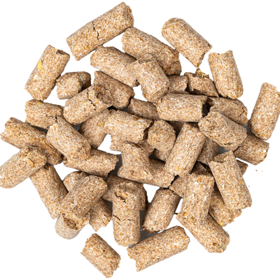 Wheat bran pellets