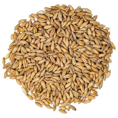 Groan_Top_Triticale6148.png